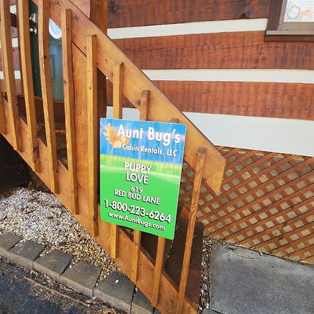 Puppy Love #1619 Gatlinburg Exterior photo