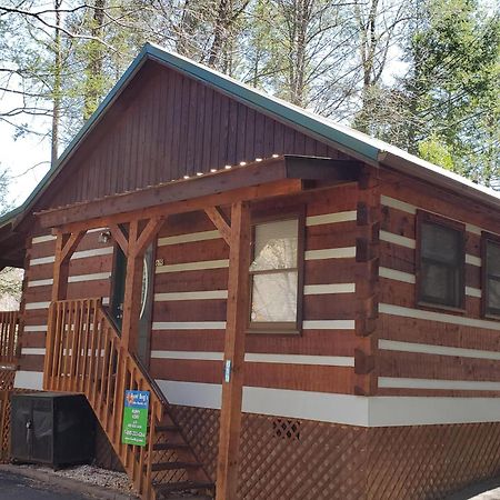 Puppy Love #1619 Gatlinburg Exterior photo